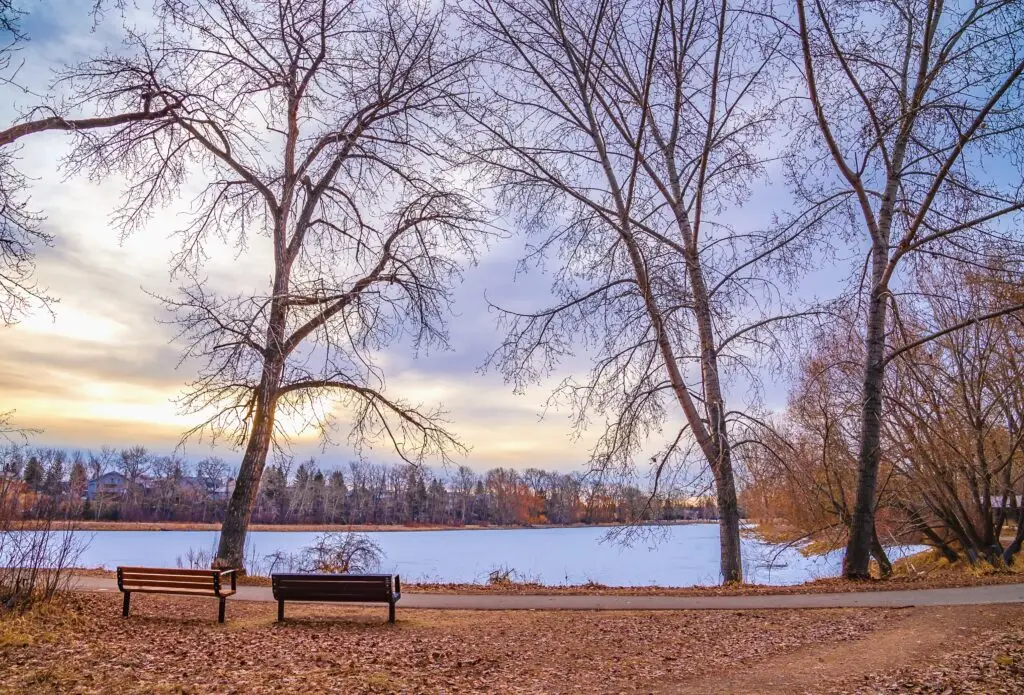 bench lookout over a spring park